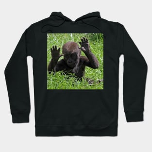 Gorilla20150902 Hoodie